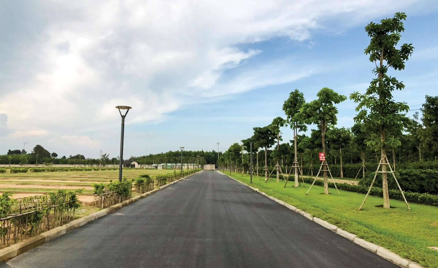 Hoàn thiện trải thảm nhựa 100% các trục đường chính của hoa viên