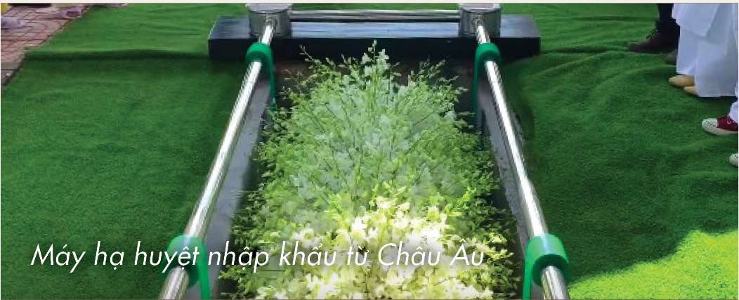 Máy hạ quan hiện đại