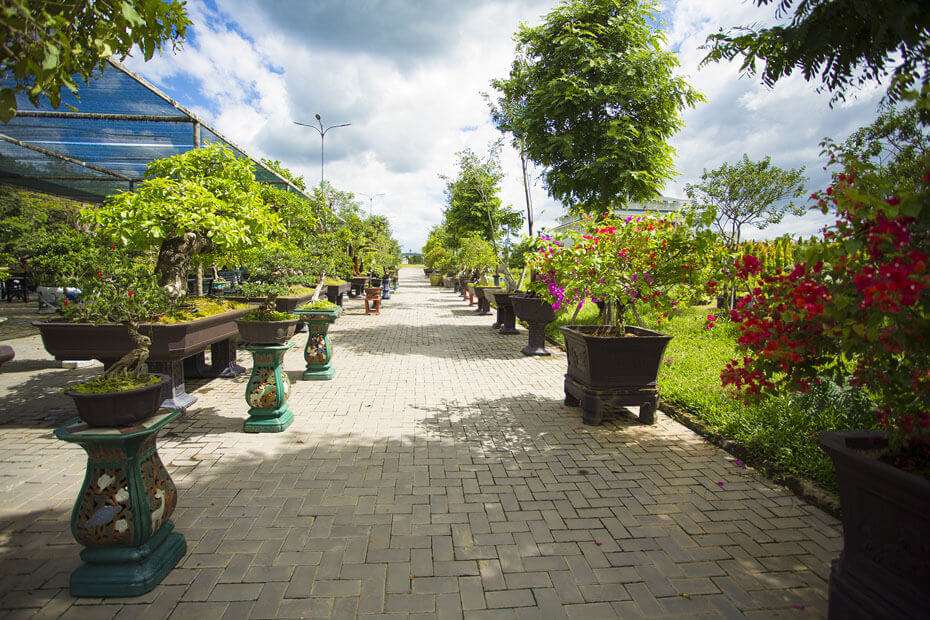 Khuôn viên được bố trí nhiều loại hoa tươi