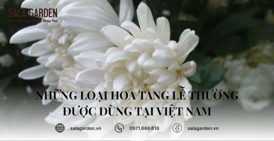 Những loại hoa tang lễ thường được dùng tại Việt Nam