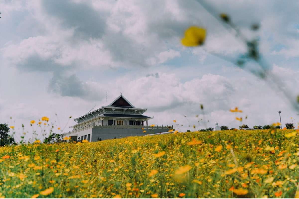 Cảnh sắc hoa đua nở tại Đền Trình - Sala Garden