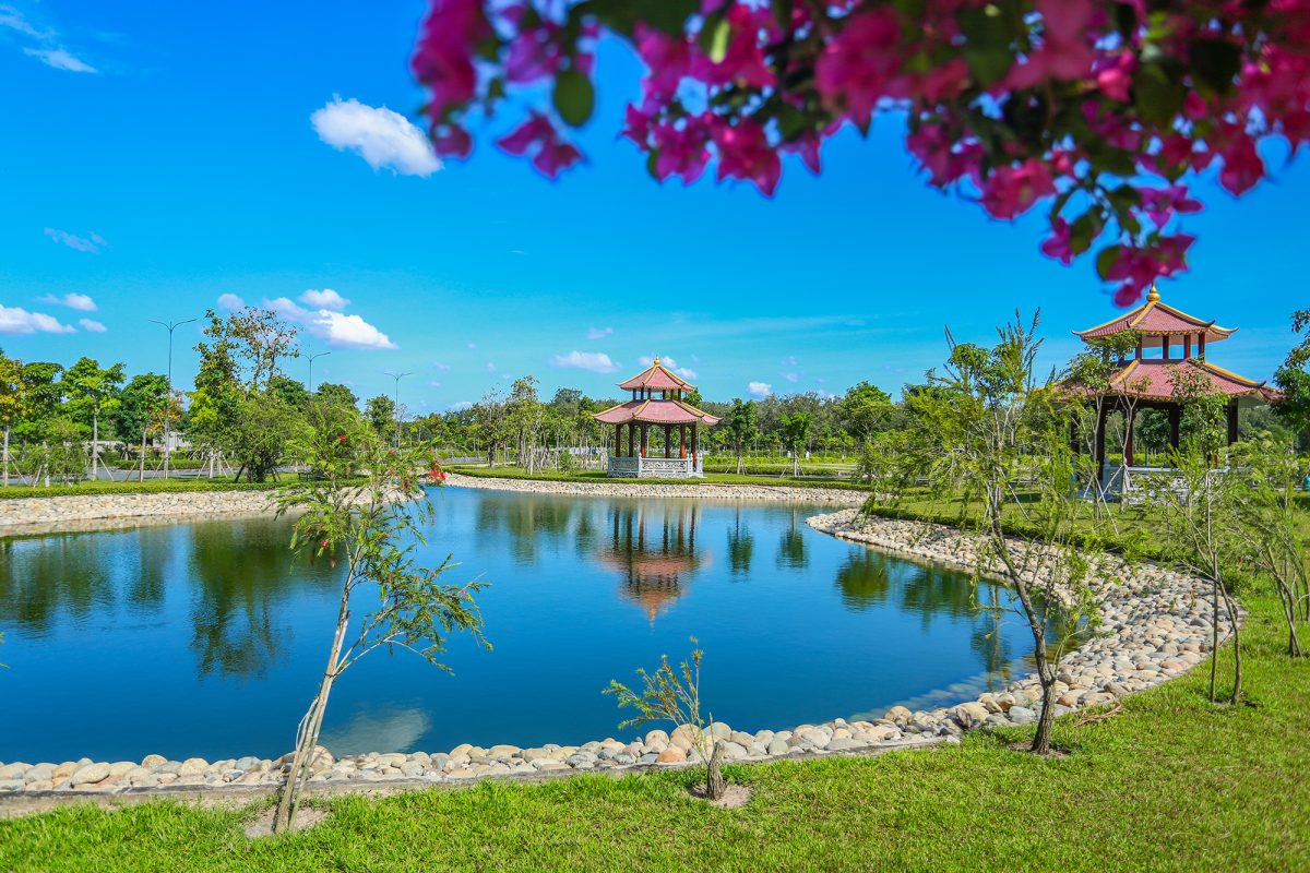 ĐẤT SINH PHẦN – VÌ SAO NGƯỜI TRẺ HIỆN ĐẠI BẮT ĐẦU QUAN TÂM