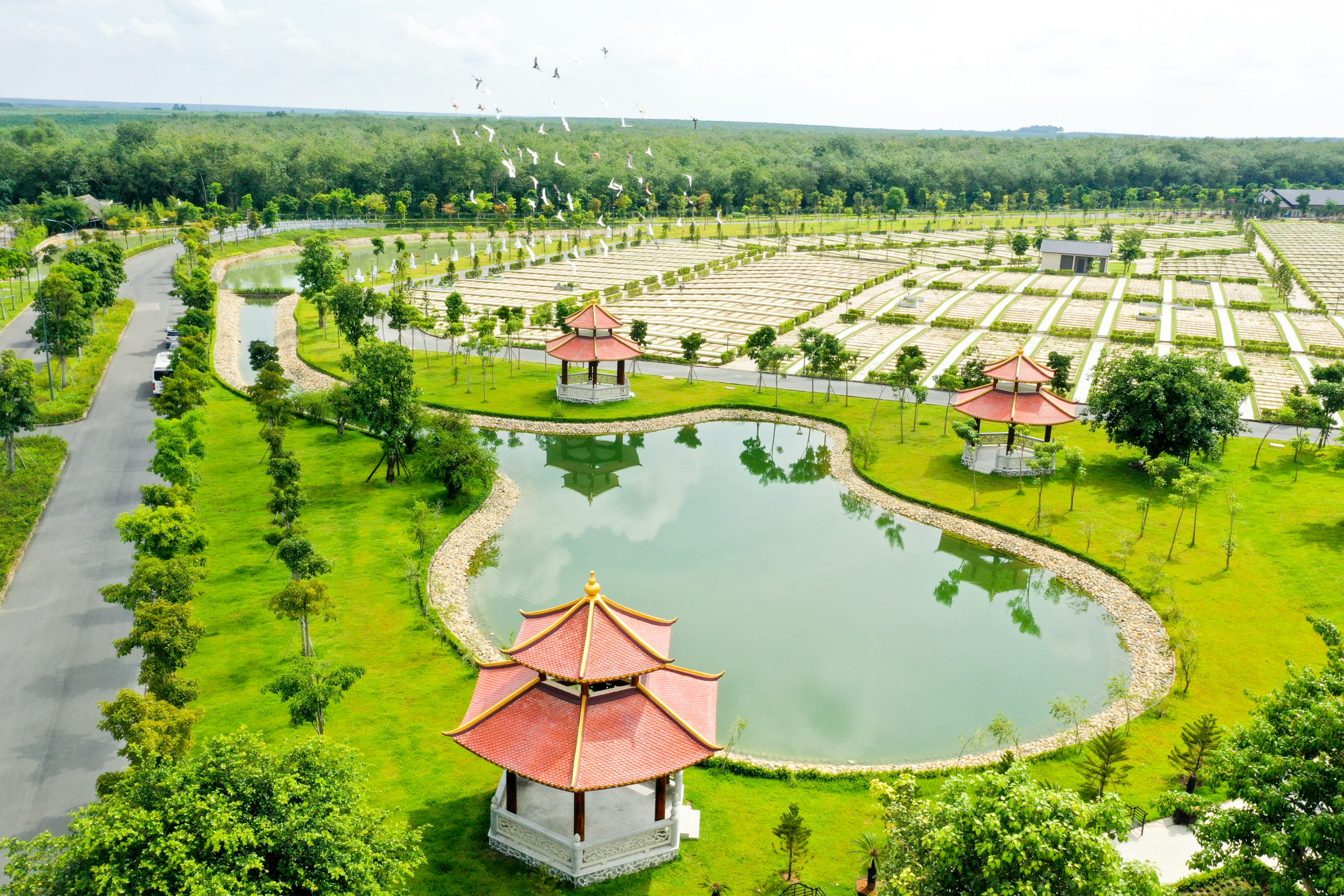 Đất sinh phần