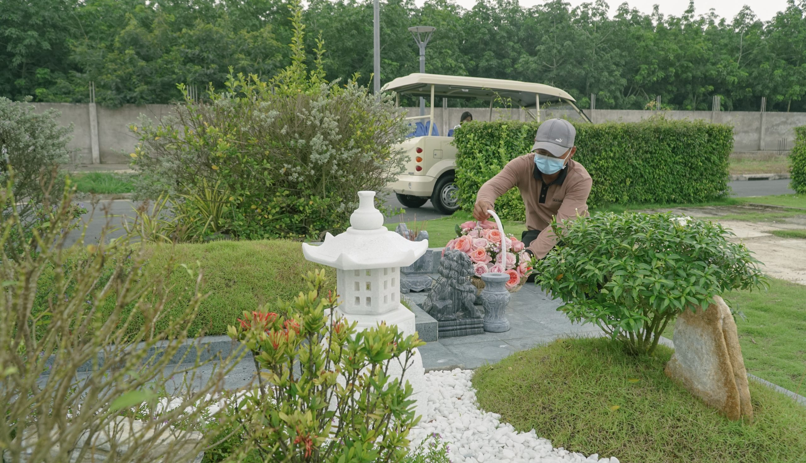 Đất Sinh Phần