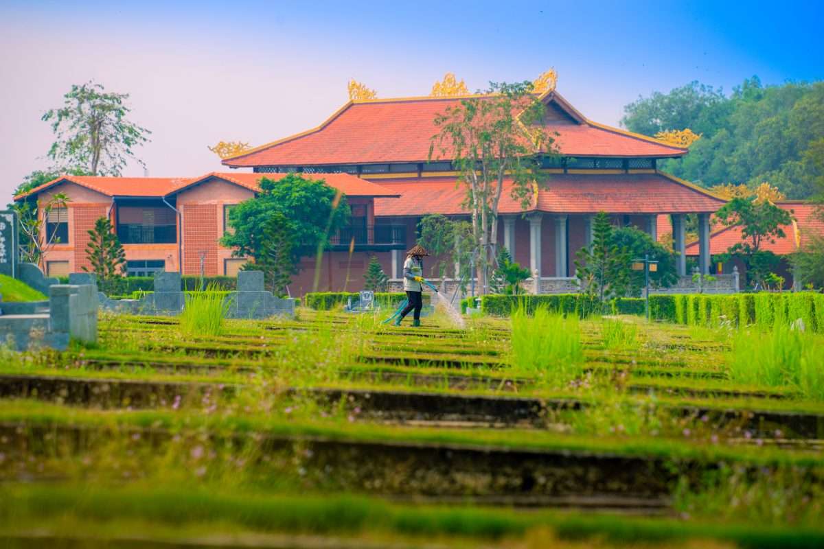Pháp Lý Hoa Viên Nghĩa Trang: Rủi Ro Mất Trắng Từ Đất Tự Phát