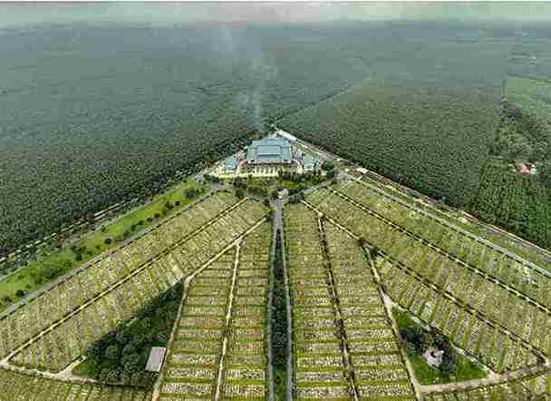 Thoi diem tot nhat de mua hoa vien Sala Garden