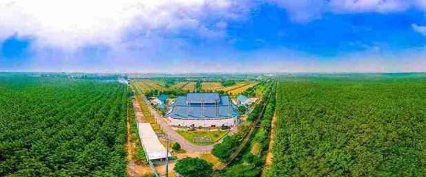 Vị trí huyệt cát là vùng đất lành tụ khí mang lại sự an ổn cho mộ phần