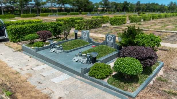 Dấu hiệu nhận biết mộ kết phát cỏ mọc xanh tốt tuyệt đối không nên bốc mộ cải táng để tránh phạm kỵ.